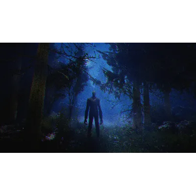 Slender: The Arrival СТИМ Steam Gift - irongamers.ru