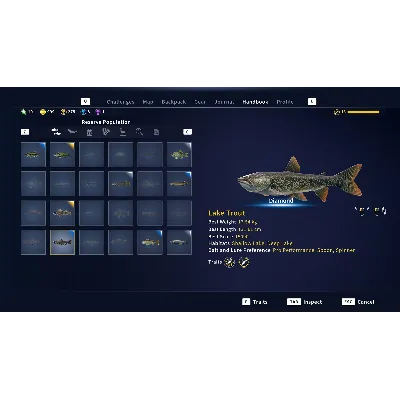 CALL OF THE WILD: THE ANGLER™ XBOX ONE|XS+PC WIN КЛЮЧ - irongamers.ru