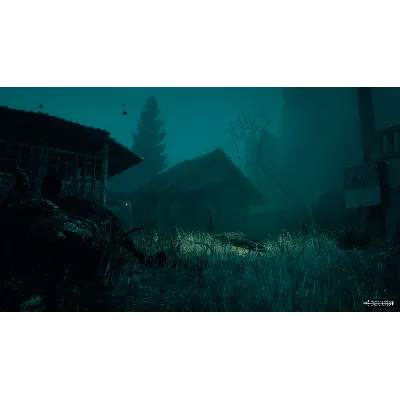 The Occultist * STEAM RU*KZ*UA*СНГ - irongamers.ru