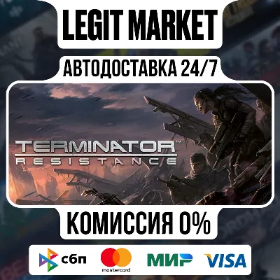 Terminator: Resistance / Steam АВТО / РУ + МИР - irongamers.ru