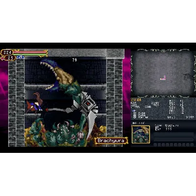 Castlevania Dominus Collection - Steam Gift - irongamers.ru
