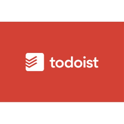 Todoist PRO | Подписка на ваш аккаунт на 1/12 месяцев - irongamers.ru