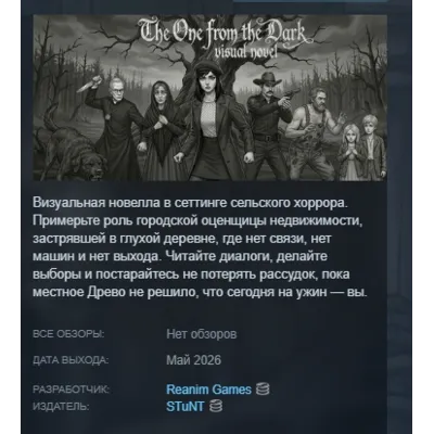 Visual novel: The One from the Dark STEAM KEY РФ+СНГ+GLOBAL ЛИЦЕНЗИЯ СТИМ КЛЮЧ - irongamers.ru