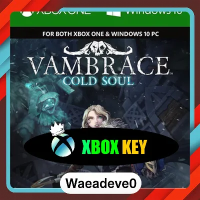 Vambrace: Cold Soul PC/XBOX LIVE Key TURKEY - irongamers.ru