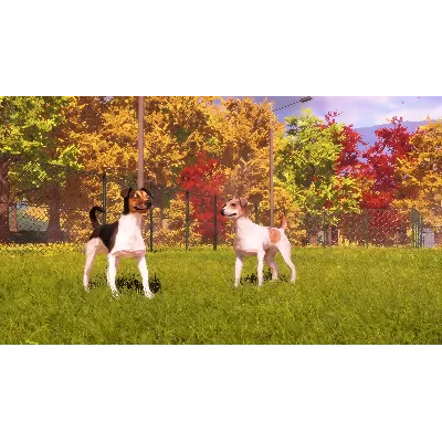 Animal Shelter 2 - Hunting Dogs Pack DLC - STEAM RU - irongamers.ru