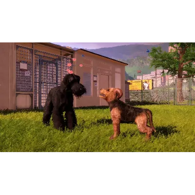 Animal Shelter 2 - Hunting Dogs Pack DLC - STEAM RU - irongamers.ru