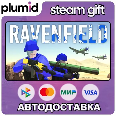 Ravenfield Steam Gift / Россия + МИР / АВТО - irongamers.ru
