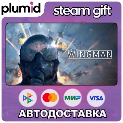 Project Wingman Steam Gift / Россия + МИР / АВТО - irongamers.ru