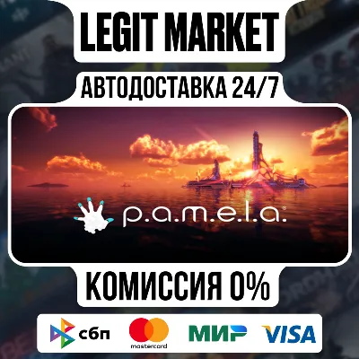 P.A.M.E.L.A. / Steam АВТО / РУ + МИР - irongamers.ru