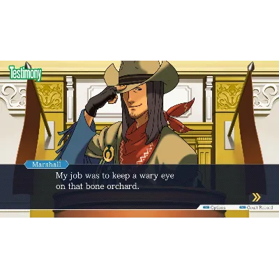 Phoenix Wright: Ace Attorney Trilogy + ВЫБОР РЕГИОНА STEAM - irongamers.ru