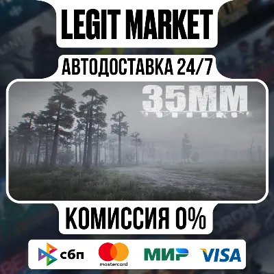 35MM / Steam АВТО / РУ + МИР - irongamers.ru