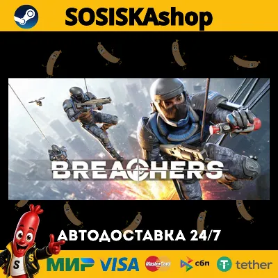 Breachers™ + ВЫБОР РЕГИОНА STEAM - irongamers.ru