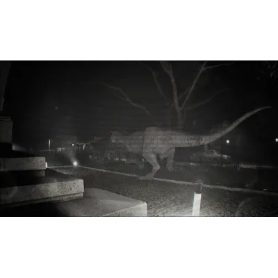 Unknown Tapes + ВЫБОР РЕГИОНА STEAM - irongamers.ru
