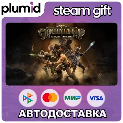 Gauntlet Slayer Edition Steam Gift / Россия + МИР / АВТО - irongamers.ru