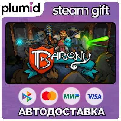 Barony Steam Gift / Россия + МИР / АВТО - irongamers.ru