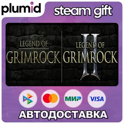 Legend of Grimrock Bundle Steam Gift / Россия + МИР / АВТО - irongamers.ru