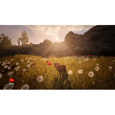 Adorable Adventures XBOX SERIES X|S ПОКУПКА ИГРЫ НА ВАШ АКАУНТ - irongamers.ru