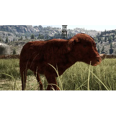 Ranch Simulator: Highland Cow DLC - STEAM GIFT РОССИЯ - irongamers.ru