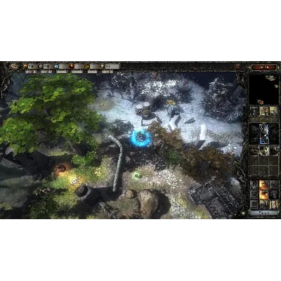 Disciples 3 III: Resurrection (STEAM KEY region free) - irongamers.ru