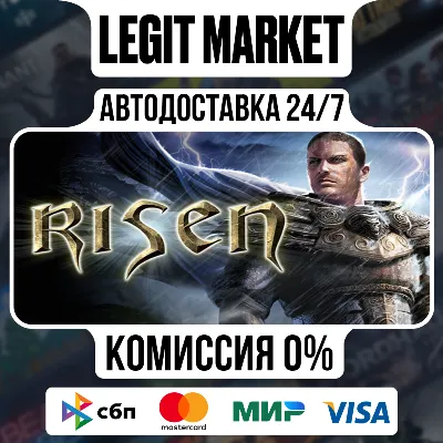 Risen / Steam АВТО / РУ + МИР - irongamers.ru
