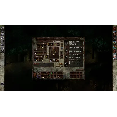 Icewind Dale: Enhanced Edition STEAM Ключ | (СНГ- Без РФ и РБ) - irongamers.ru