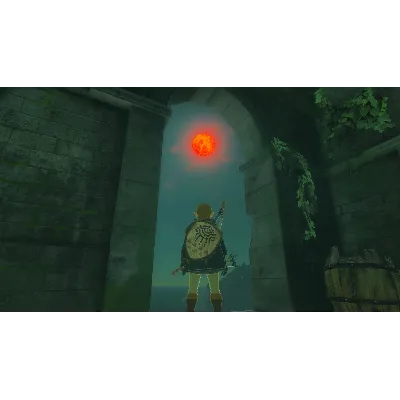 The Legend of Zelda: Tears of the Kingdom | Nintendo Switch 2 - irongamers.ru