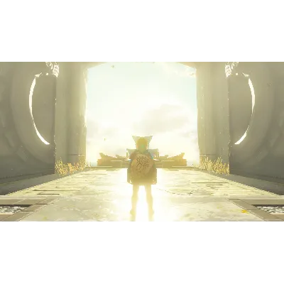 The Legend of Zelda: Tears of the Kingdom | Nintendo Switch 2 - irongamers.ru