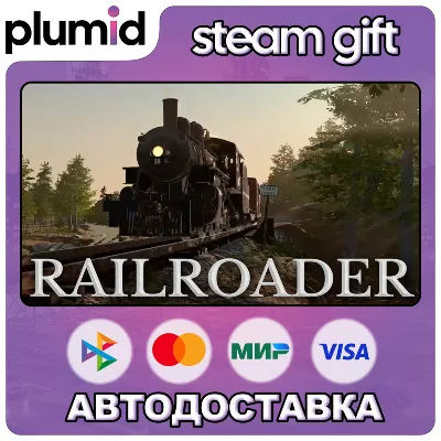 Railroader Steam Gift / Россия + МИР / АВТО - irongamers.ru