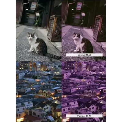 Набор из 20 пресетов City Purple для Lightroom и LUT-файлов - irongamers.ru