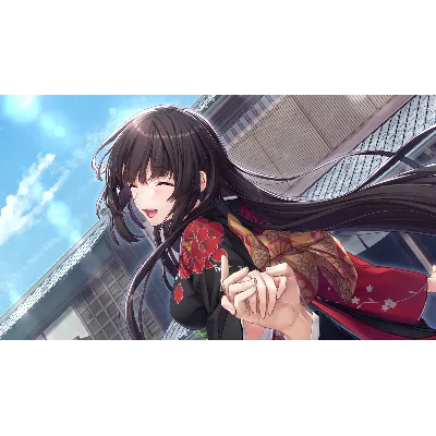 Nie No Hakoniwa - Dollhouse of Offerings Steam КЛЮЧ - irongamers.ru