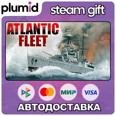 Atlantic Fleet Steam Gift / Россия + МИР / АВТО - irongamers.ru