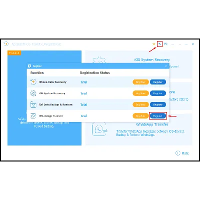Apeaksoft WhatsApp Transfer Код регистрации на 1 год - irongamers.ru