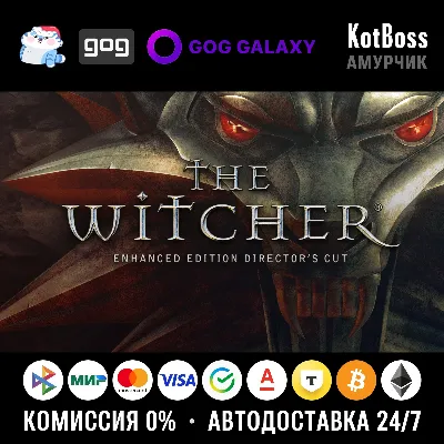 Россия + Мир | The Witcher: Enhanced Edition Director&acute;s Cut / 1 / I | Ключ | GOG - irongamers.ru