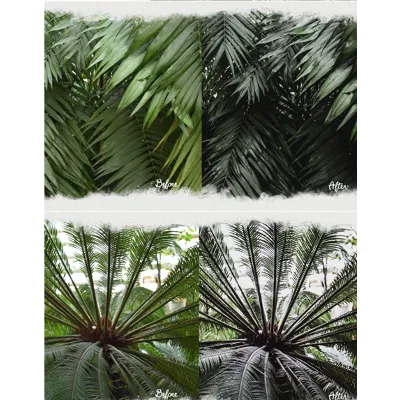 Tropic Cocktail Lightroom Presets | Desktop &amp; Mobile | XMP + DNG | Professional Photo - irongamers.ru