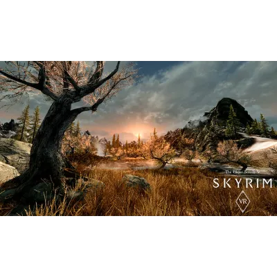 The Elder Scrolls V: Skyrim VR STEAM АККАУНТ - irongamers.ru