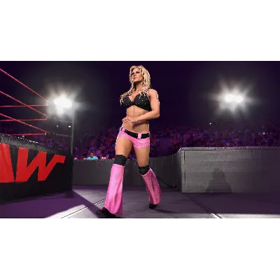 WWE 2K26 Ringside Pass Premium Season 3 STEAM GIFT - irongamers.ru