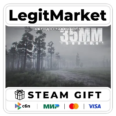 35MM / Steam АВТО / РУ + МИР - irongamers.ru