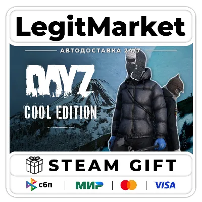 DayZ Cool Edition / Steam АВТО / РУ + МИР - irongamers.ru