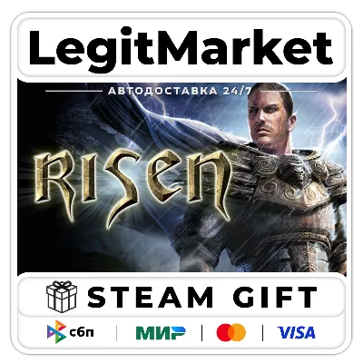 Risen / Steam АВТО / РУ + МИР - irongamers.ru