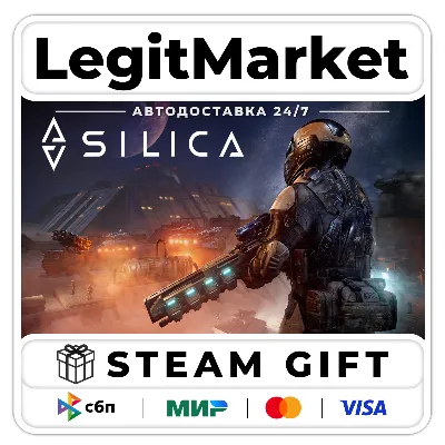 Silica / Steam АВТО / РУ + МИР - irongamers.ru
