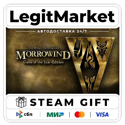 The Elder Scrolls III: Morrowind Game of the Year Edition / Steam АВТО / РУ + МИР - irongamers.ru