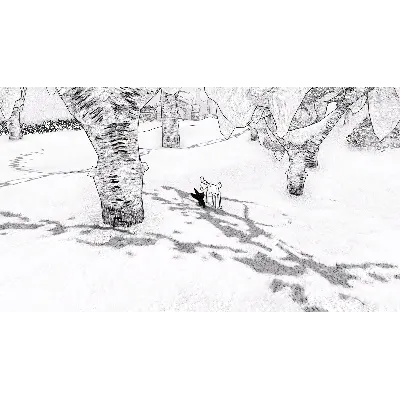 Blanc | Steam РУ+UA+KZ+СНГ - irongamers.ru