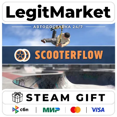 ScooterFlow / Steam АВТО / РУ + МИР - irongamers.ru