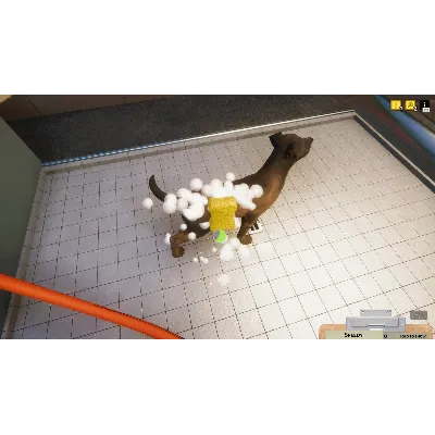 Animal Shelter (Steam Gift) · РФ и весь мир · Автодоставка 24/7 - irongamers.ru