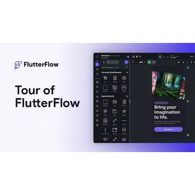 FlutterFlow 1-Year Access 12 Months Full Access – Worth Every Penny! $15 - irongamers.ru