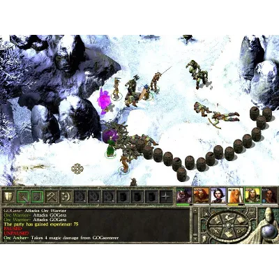 Россия + Мир | Icewind Dale 2: Complete Edition / Dungeons & Dragons | Ключ | GOG - irongamers.ru