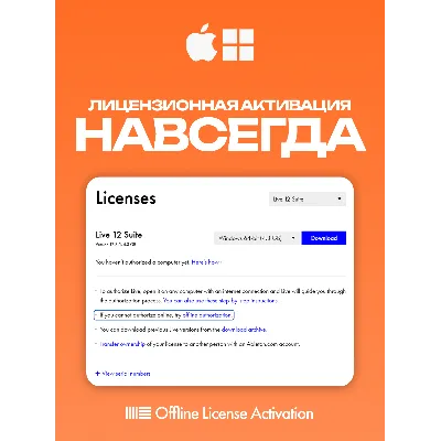 Ableton Live 12 Suite [НАВСЕГДА] + Splice в подарок - irongamers.ru