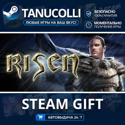 Risen Авто МИР + 33 региона GIFT Россия - irongamers.ru