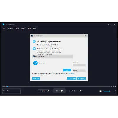 Vidmore Player Код регистрации на 1 год - irongamers.ru