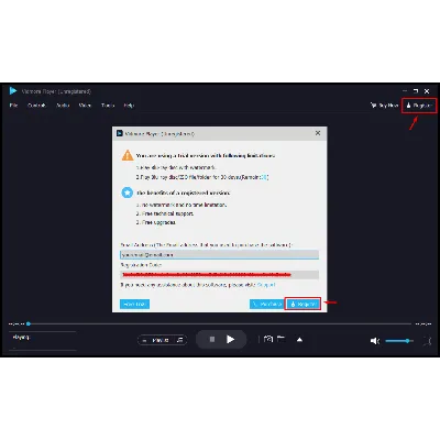 Vidmore Player Код регистрации на 1 год - irongamers.ru